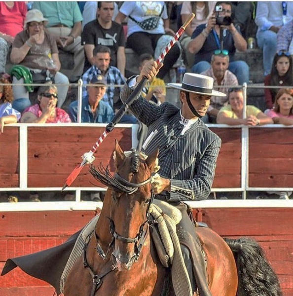 Festejos Taurinos Festejos Taurinos