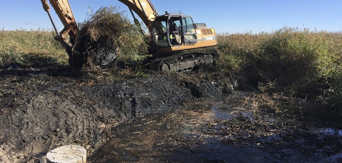 Comienza la limpieza de la acequia Madre en Mota del Cuervo