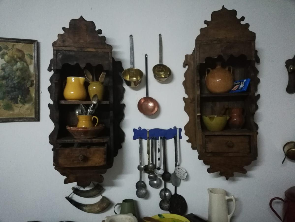 Museo Teresa Cano Lillo