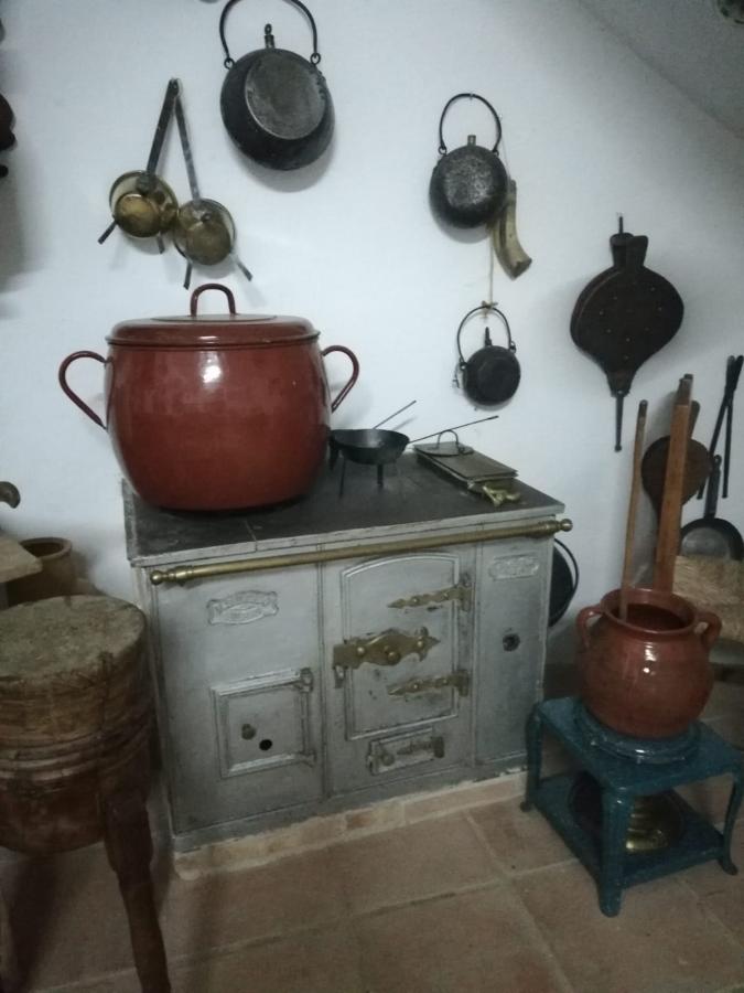 Museo Teresa Cano Lillo