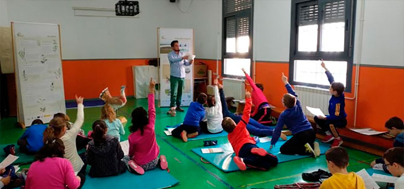Actividades en el entorno natural, en la Semana del Medio Ambiente de Mota