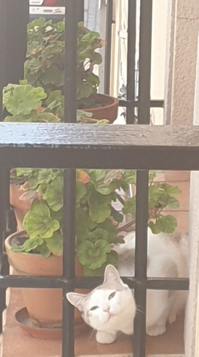 Fotografía de Carmen Izquierdo