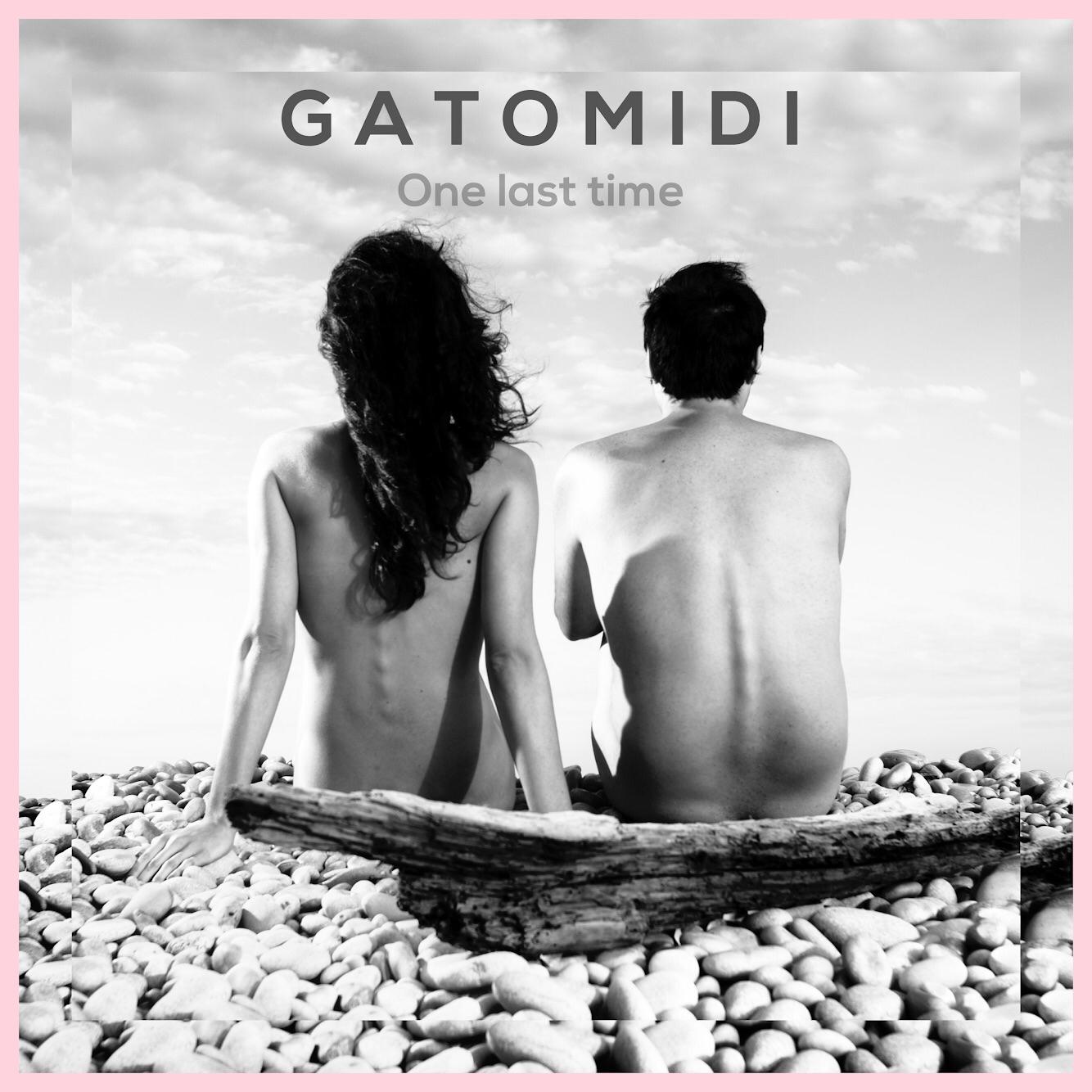 Gatomidi