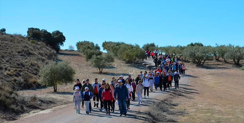 La ruta de senderismo ‘7.000 pasos por…’ congrega a cerca de 300 personas en Mota del Cuervo