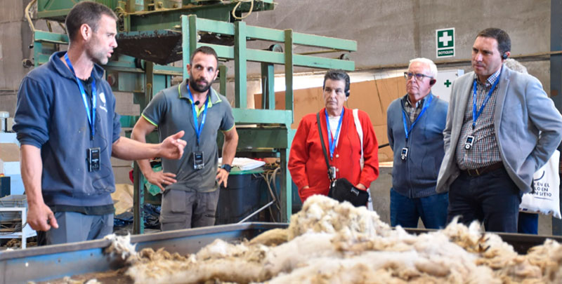 La Diputación de Cuenca ayuda a la empresa moteña Wooldreamers para convertir los residuos de la lana en abono