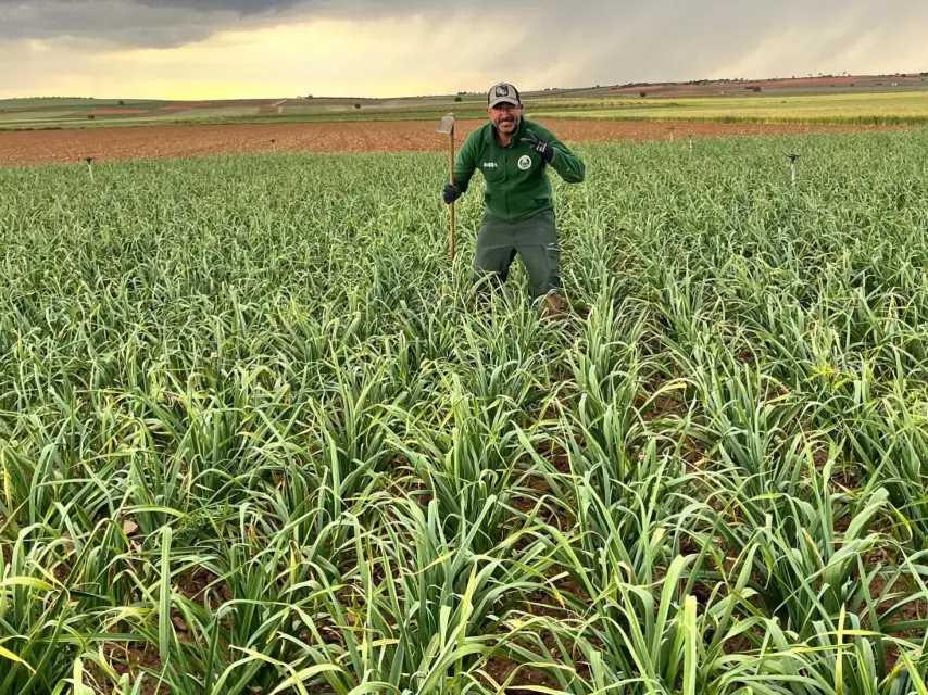 Jesús en sus campos