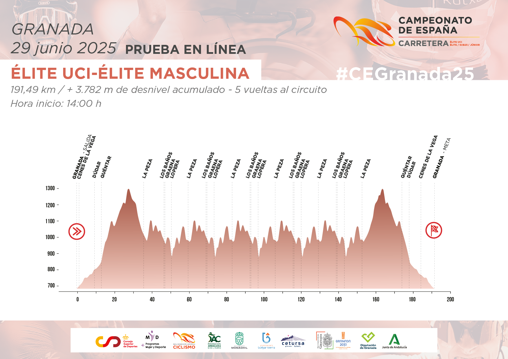 Perfil de la carrera